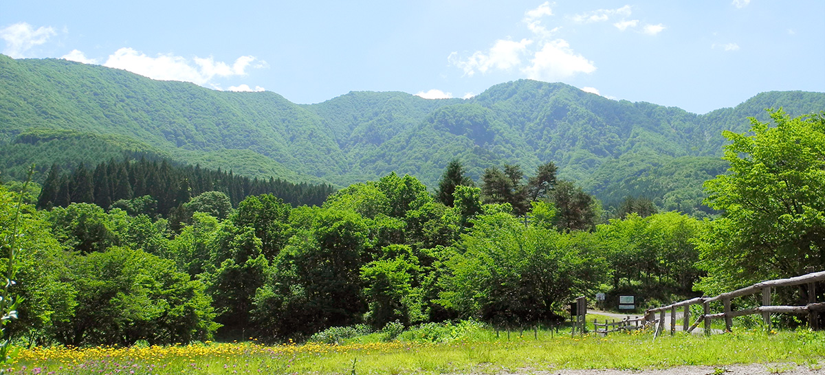 ログハウス三百坊から眺める瀧山